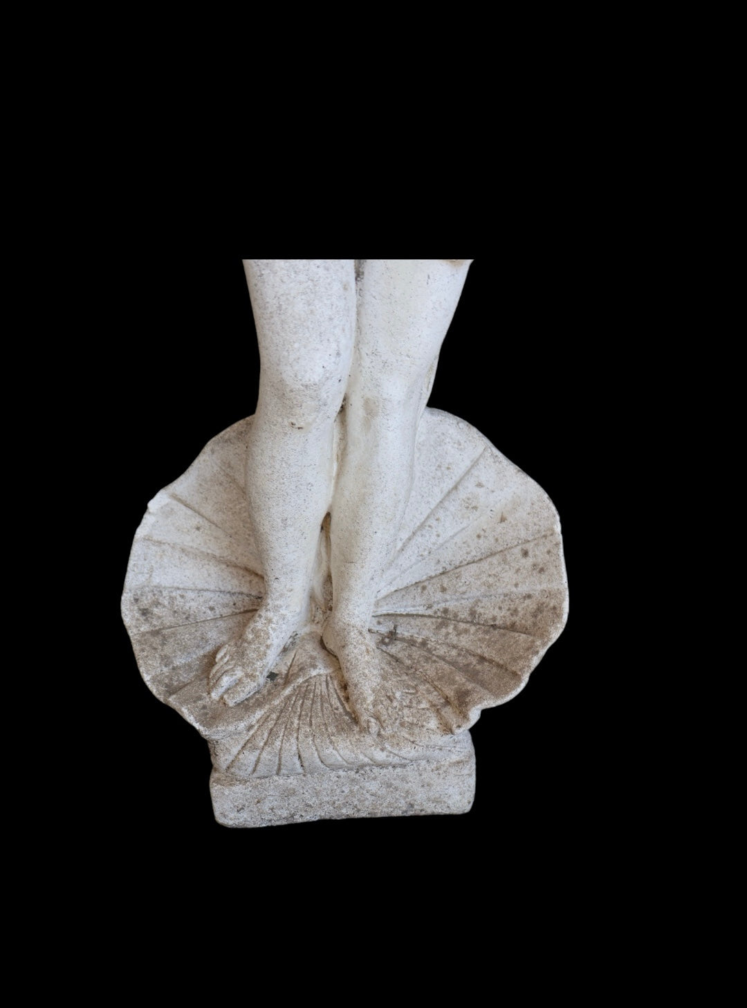 Lady in a Shell Statue