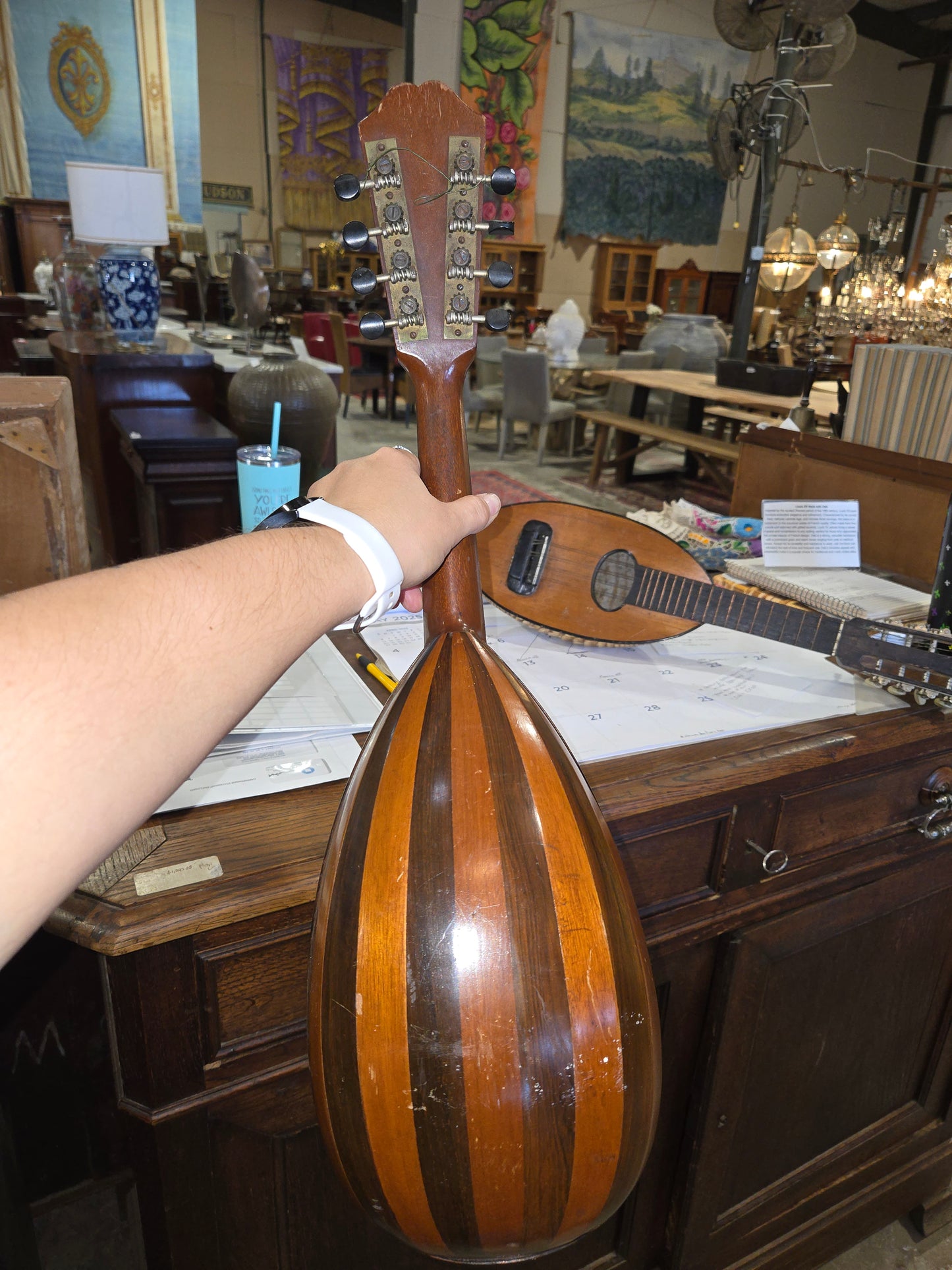 Late 1800s Bowl-back mandolin