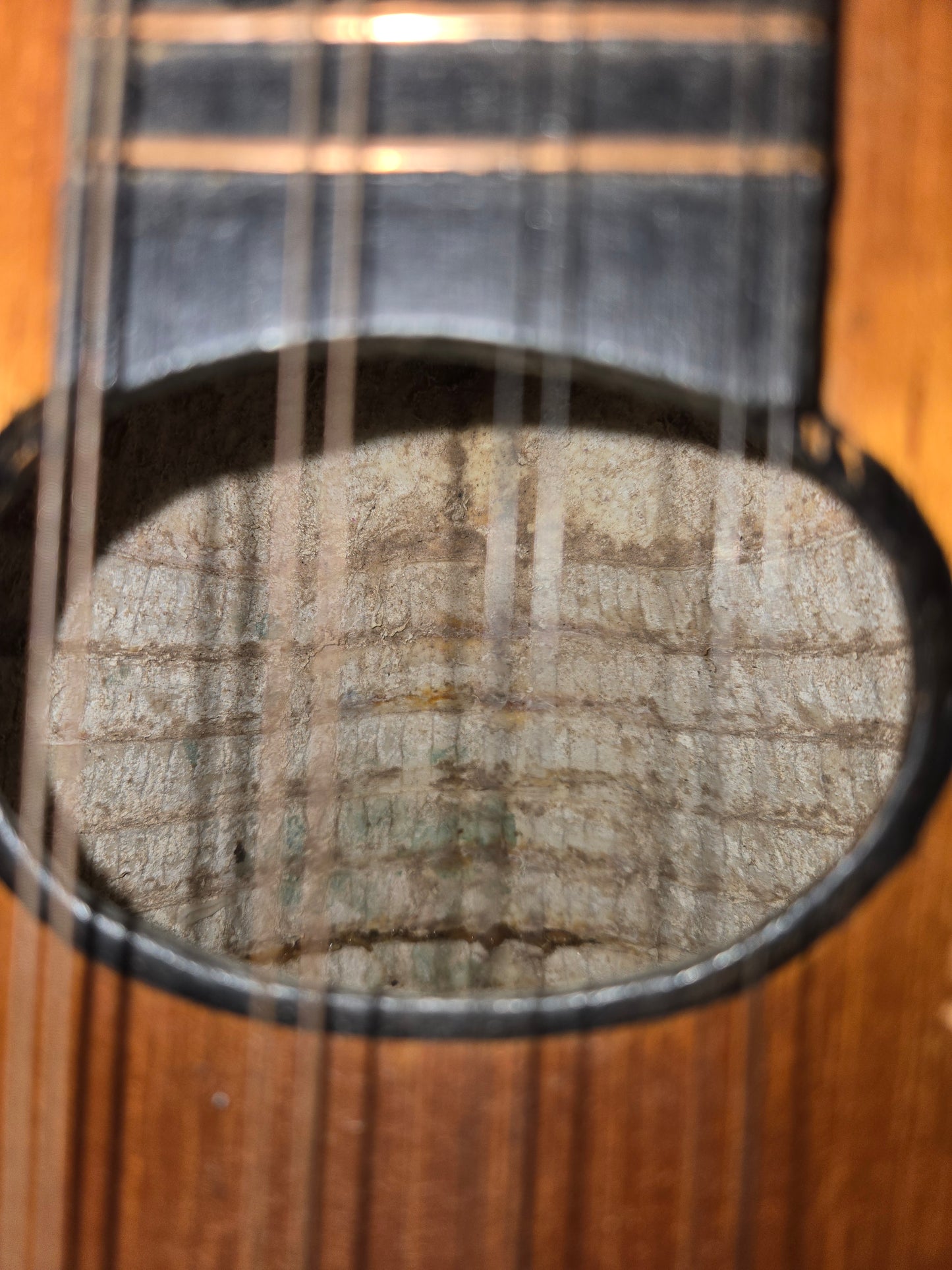 Mid 1900s Handmade Armadillo Charango