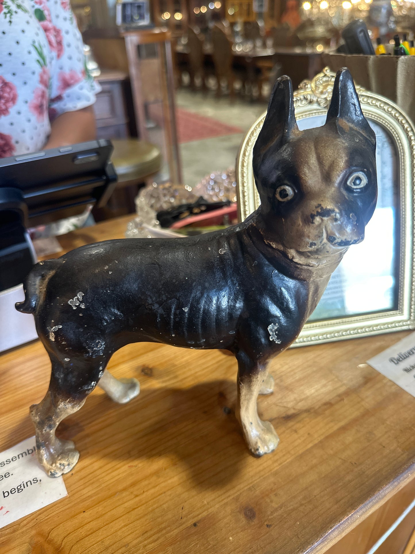 Cast Iron Boston terrier