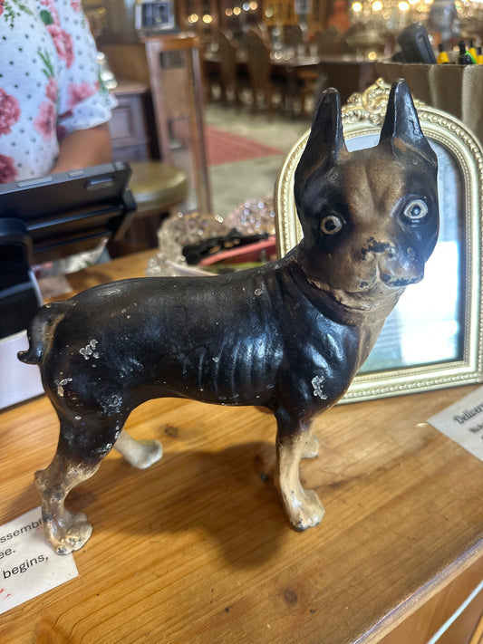 Cast Iron Boston terrier