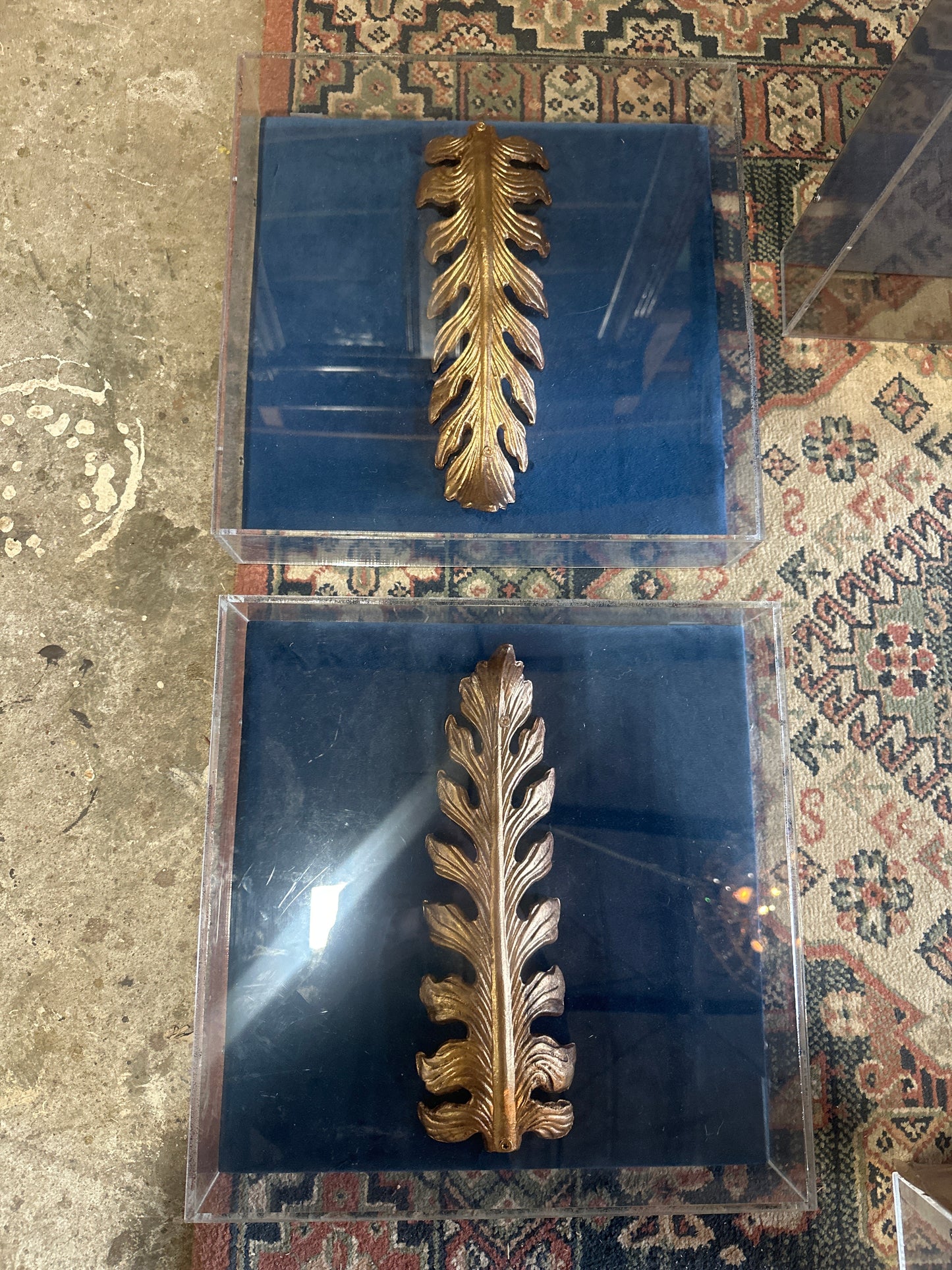 Architectural Palm enclosed