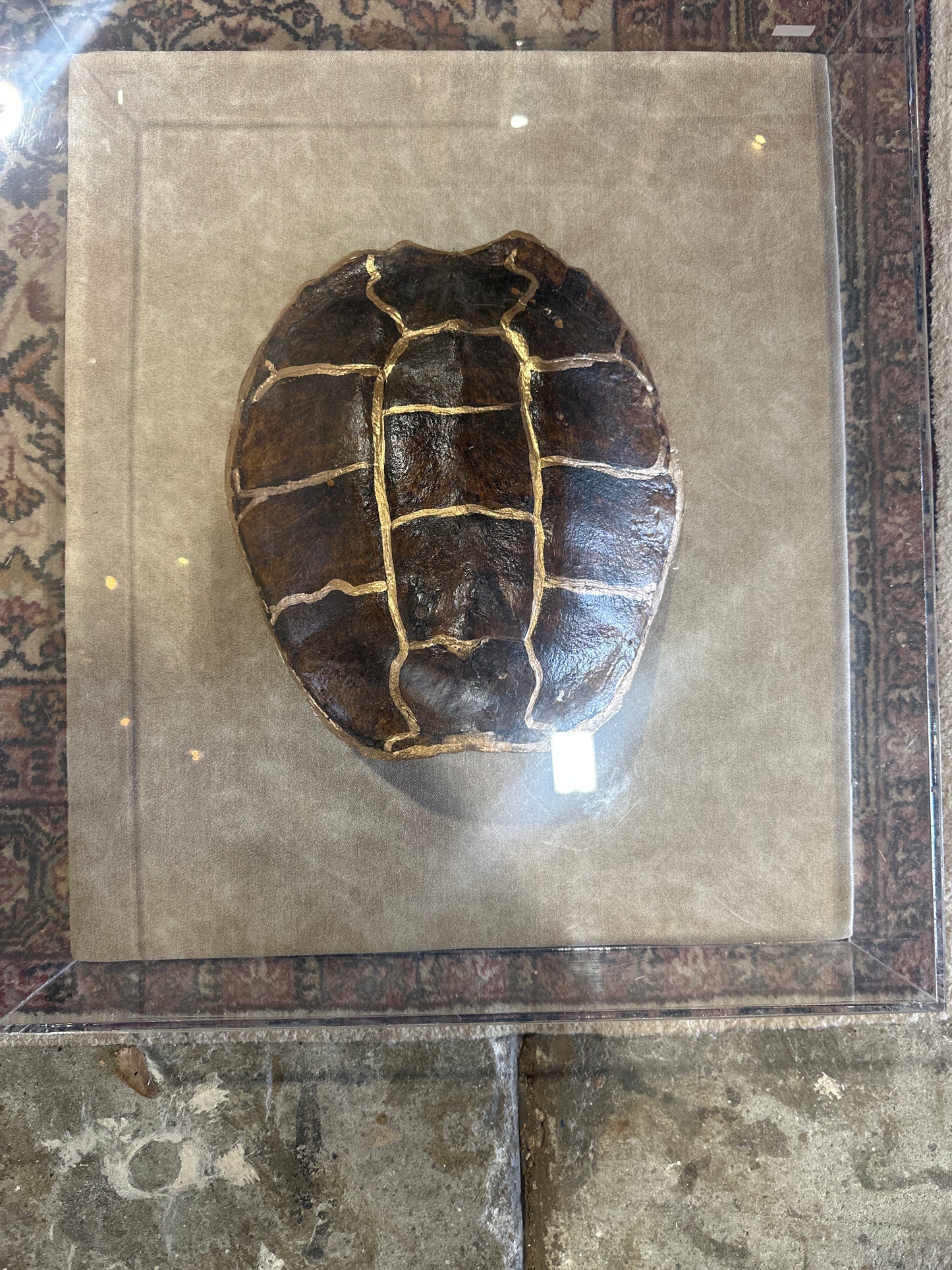 Peter S. Kintsugi Style Chelonian Shell