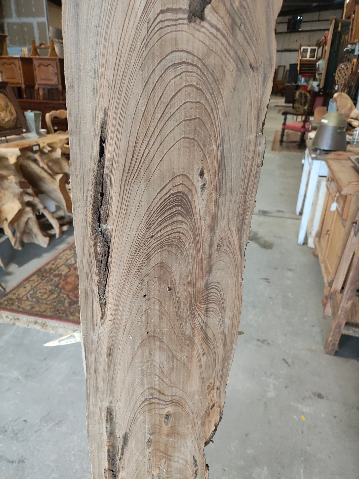 Mid-Century Modern Brass Bird Hook Rack on Live Edge Wood Slab