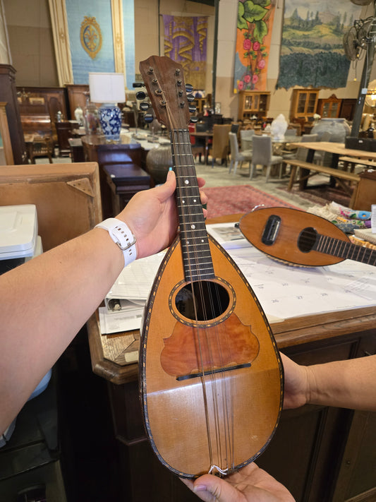 Late 1800s Bowl-back mandolin