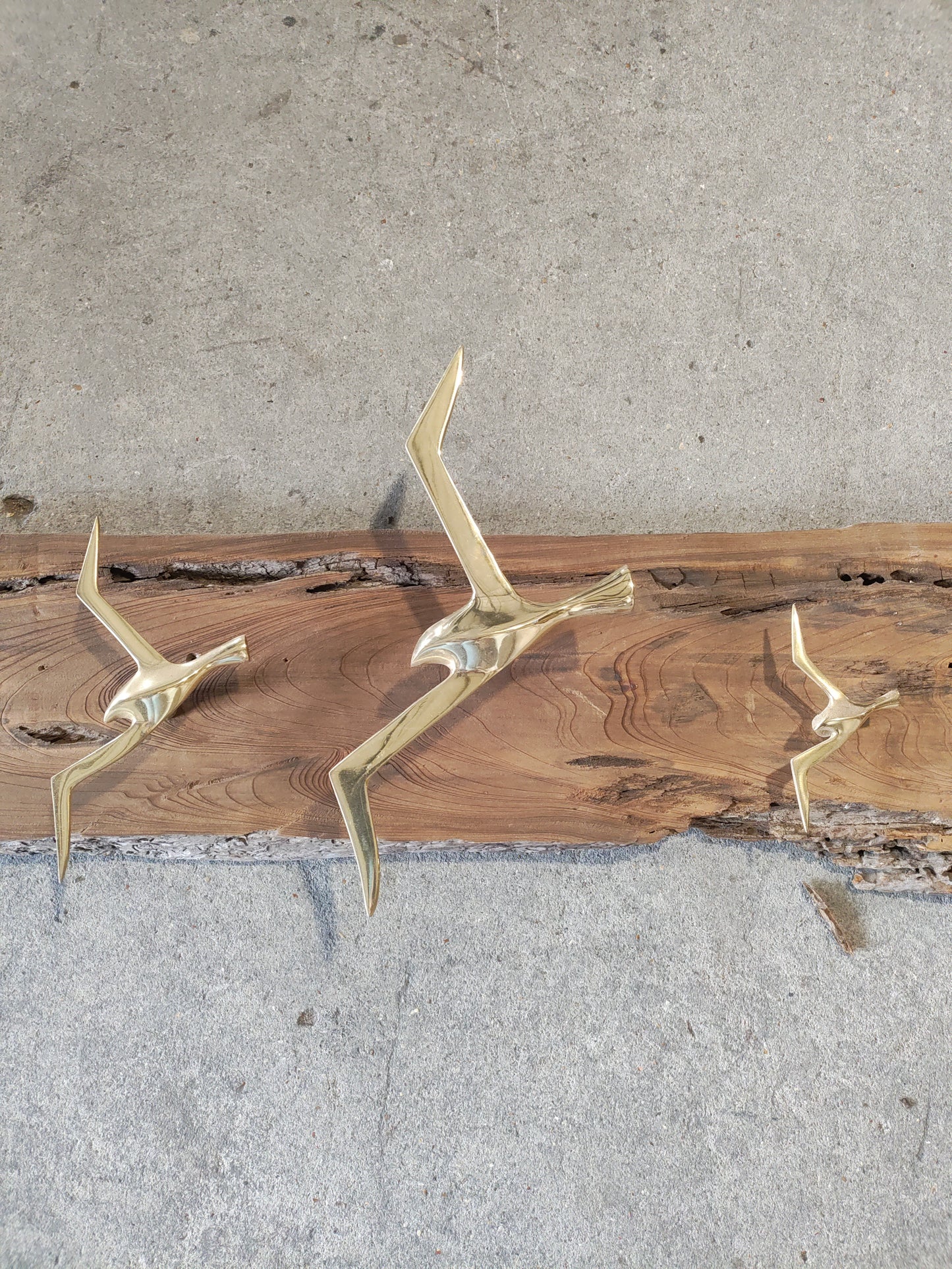 Mid-Century Modern Brass Bird Hook Rack on Live Edge Wood Slab